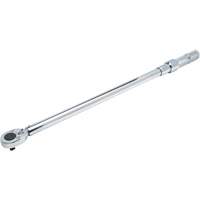 Ratcheting Head Micrometer Torque Wrench, Click, 1/2" Square Drive, 50 - 250 lbf. Ft FMT Sales Ltd