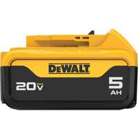 Max XR&reg; Premium Battery Pack, Lithium-Ion, 20 V, 5 A FMT Sales Ltd