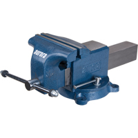 Heavy-Duty Bench Vise, 8" Jaw Width FMT Sales Ltd