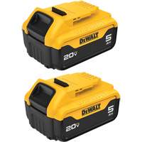 Max XR&reg; Premium Battery Pack, Lithium-Ion, 20 V, 5 A FMT Sales Ltd