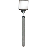 Miroir d'inspection en acrylique, Carr&eacute;e, 2" lo x 2" la, T&eacute;lescopique FMT Sales Ltd