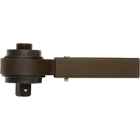 Multiplicateur de couple, 1/2" Couple d'entr&eacute;e, 1" Couple de sortie, 18,5:1 Ratio FMT Sales Ltd