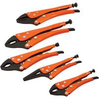 Straight Curved & Long Nose Locking Pliers Set, 5 Pieces FMT Sales Ltd