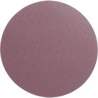 Meule en toile PSA 348D, dia 12", Grain 60, Oxyde d'aluminium, Poids FMT Sales Ltd