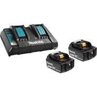 Li-Ion Battery & Dual-Port Charger Kit, 18 V, Lithium-Ion FMT Sales Ltd