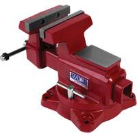 Utility HD Bench Vise, 6-1/2" Jaw Width, 4-1/4" Throat Depth FMT Sales Ltd