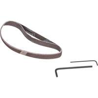 Ponceuse &agrave; bande, 13" - 3/8", 16 pi³/min, 1/4" NPTF FMT Sales Ltd