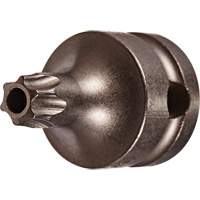Embout &agrave; ins&eacute;rer, Torx inviolable, 25 x 1" lo, Prise 3/8" FMT Sales Ltd