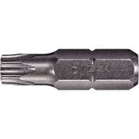 Tamper Insert Bit FMT Sales Ltd