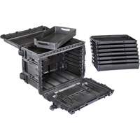 Gen 2 Mobile Tool Chest, 24" W, 6 Drawers, Black FMT Sales Ltd