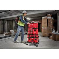 Coffre &agrave; outils compact Packout, 10" x 16-1/5" x 13", Noir/Rouge FMT Sales Ltd