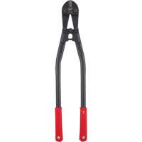 Bolt Cutter, 30" L, Flush Cut FMT Sales Ltd
