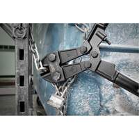 Bolt Cutter, 30" L, Flush Cut FMT Sales Ltd