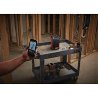 M12 Radio & Charger (Tool Only), Lithium-Ion, 12 V FMT Sales Ltd