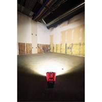 M12 Rover Mounting Flood Light, LED, 250 W, 1000 Lumens FMT Sales Ltd