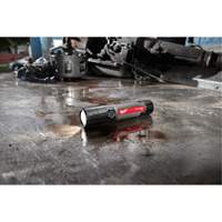 USB Compatible Compact Flashlight, LED, 800 Lumens, Rechargeable Batteries FMT Sales Ltd