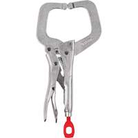 Serre-joint verrouillable Torque Lock avec m&acirc;choires r&eacute;guli&egrave;res, Capacit&eacute; de 6" (152 mm) FMT Sales Ltd