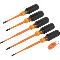 Slim-Tip Insulated Screwdriver Set, 1000 V, 6 Pcs FMT Sales Ltd