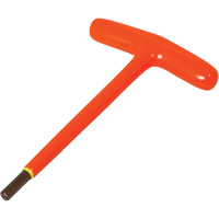 Cl&eacute; hexagonale isol&eacute;e SAE FMT Sales Ltd