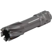 Universal Shank Annular Cutter, 1/2" Diameter, Carbide, 1" Depth of Cut, 3/4" Shank FMT Sales Ltd