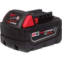 Redlithium XC5.0 Extended Capacity Battery Pack, Lithium-Ion, 18 V FMT Sales Ltd