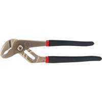 Pinces &agrave; rainures, 10" FMT Sales Ltd