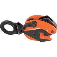 Universal Plate Clamp FMT Sales Ltd