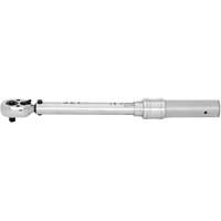 JITW-14250 Cl&eacute;s dynamom&eacute;triques industrielles, &agrave; cliquer, Entraînement 1/4" carr&eacute;, 50 - 250 lb-po FMT Sales Ltd