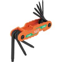 Jeu de cl&eacute;s hexagonales pliant et compact, 8 mcx, Torx FMT Sales Ltd