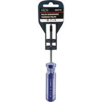 Tournevis Philips bleu transparent avec bandes, #1, Prise Plastique FMT Sales Ltd