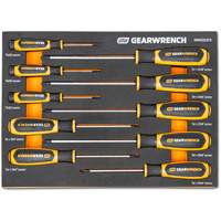 Jeu de tournevis bimat&eacute;riau Torx dans un plateau de rangement en mousse, 10 mcx FMT Sales Ltd