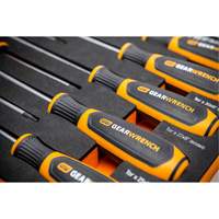 Jeu de tournevis bimat&eacute;riau Torx dans un plateau de rangement en mousse, 10 mcx FMT Sales Ltd