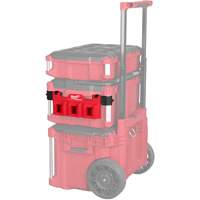 PACKOUT Tool Box M18 Battery Rack Attachment FMT Sales Ltd