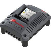 IQV20 Compact Battery Charger, 20 V, Lithium-Ion FMT Sales Ltd