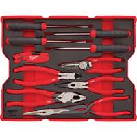 Pliers & Pick Set with Tray for PACKOUT Drawers FMT Sales Ltd