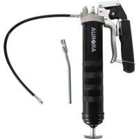 Pistolet-graisseur double &agrave; poign&eacute;e-levier FMT Sales Ltd