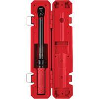 Cl&eacute; dynamom&eacute;trique, &agrave; cliquer, Entraînement 3/8" carr&eacute;, 20 - 100 lb-po/27,1 - 135,6 Nm FMT Sales Ltd