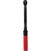 Cl&eacute; dynamom&eacute;trique, &agrave; cliquer, Entraînement 3/8" carr&eacute;, 20 - 100 lb-po/27,1 - 135,6 Nm FMT Sales Ltd