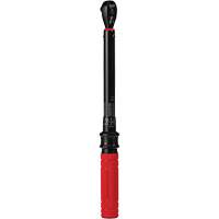 Cl&eacute; dynamom&eacute;trique, &agrave; cliquer, Entraînement 3/8" carr&eacute;, 20 - 100 lb-po/27,1 - 135,6 Nm FMT Sales Ltd