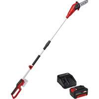 Cordless Pole Chain Saw with 4Ah Battery & Charger Starter Kit FMT Sales Ltd