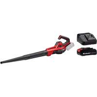 Cordless 110 CFM Universal Blower with 2.5Ah Battery & Charger Starter Kit, 18 V, 155.34 MPH Output, Battery Powered FMT Sales Ltd