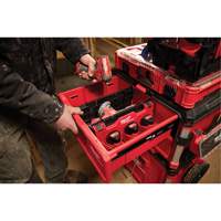Divider for PACKOUT Drawer Tool Boxes FMT Sales Ltd