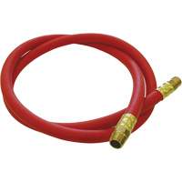 Hose Reel Connecting Hose, Air, EPDM Rubber, 1/2" dia. x 5', 300 psi, 1/2 NPT FMT Sales Ltd