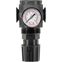 MODULAIR 300 Zinc Diaphragm Regulator, 3/8" NPT, 300 psi Max. PSI, In Line/Modular FMT Sales Ltd