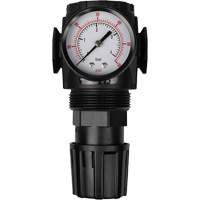MODULAIR 300 Compressed Air Regulator, 1/2" NPT, 300 psi Max. PSI, In Line/Modular FMT Sales Ltd
