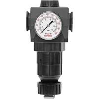 MODULAIR 400 Zinc Diaphragm Regulator, 1/2" NPT, 300 psi Max. PSI, In Line/Modular FMT Sales Ltd