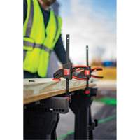 Medium Trigger Clamps Set, 12" (304.8 mm) FMT Sales Ltd