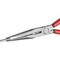 Long Nose Pliers with Cutter, 8" L FMT Sales Ltd