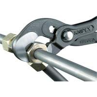 Raptor Pliers, 10" FMT Sales Ltd