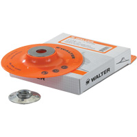 Backing Pad Assembly FMT Sales Ltd